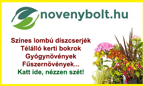 novenybolt.hu