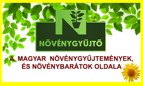 novenygyujto.hu