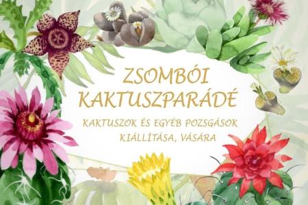 Jövő héten Zsombón várják a kaktuszok szerelmeseit