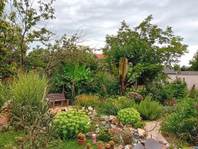 KERTINTERJÚ - Tamás Exotic Garden