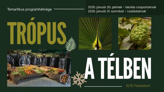 Trópus a télben – tematikus hétvége az ELTE Füvészkertben