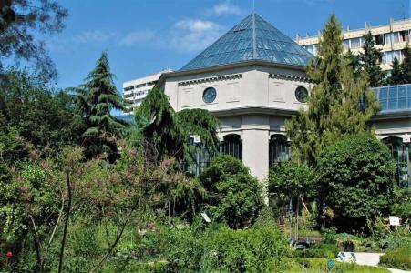 Botanikus kertek a nagyvilágban I. – Orvosi egyetemektől a modern kertekig